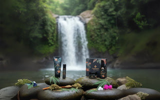 CBD Vijaya leaf extract research in India – hemp-based natural solution for pain relief.
