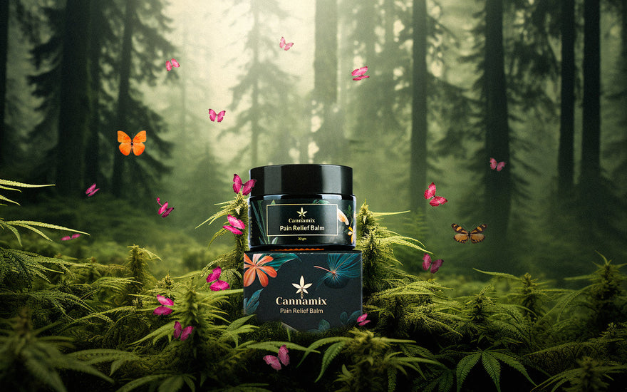 Ayurvedic herbal pain balm for joint and muscle pain relief with hemp and natural oils.