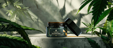 Natural pain balm infused with hemp seeds and Ayurvedic herbs for long-lasting relief.