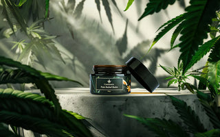 Natural pain balm infused with hemp seeds and Ayurvedic herbs for long-lasting relief.