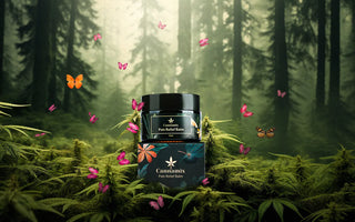 Ayurvedic herbal pain balm for joint and muscle pain relief with hemp and natural oils.