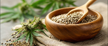 Full-spectrum CBD oil for pain relief with hemp seeds and THC India – natural solution for muscle and joint pain.