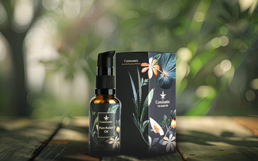 Herbal oil for pain relief with hemp seeds and Ayurveda – natural comeback in modern India.