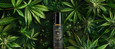 Pain relief roll-on with hemp seeds and herbal oils for back pain and joint pain relief.