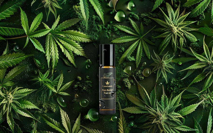 Pain relief roll-on with hemp seeds and herbal oils for back pain and joint pain relief.