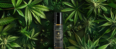 Pain relief roll-on with hemp seeds and herbal oils for back pain and joint pain relief.