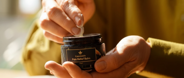 How Vijaya Works in the Body: Understanding the Endocannabinoid System