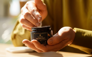 How Vijaya Works in the Body: Understanding the Endocannabinoid System