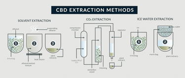 Understanding CBD Extraction: Methods, Safety, and Quality Assurance