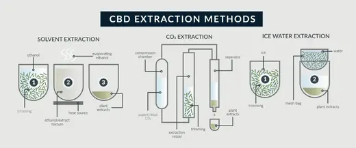 Understanding CBD Extraction: Methods, Safety, and Quality Assurance Cannamix