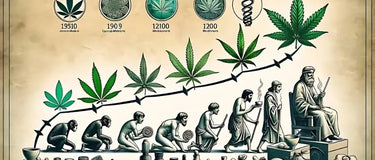 Exploring the Rich Heritage of Vijaya (Cannabis) in Ancient Cultures Cannamix